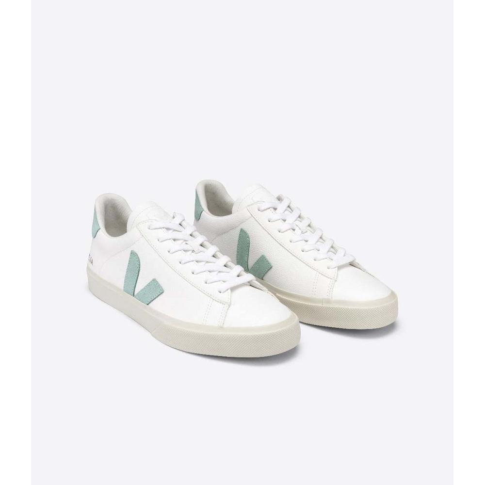 Veja CAMPO CHROMEFREE Men's Low Tops Sneakers White/Green | NZ 196NWY